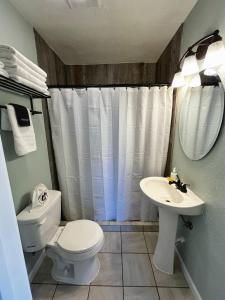 a bathroom with a toilet and a sink at La Veta Inn in La Veta