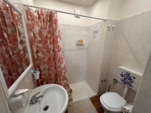 a bathroom with a shower and a sink and a toilet at Dea in Maddaloni