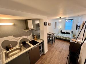 a small kitchen and a living room with a bed at Montbel'appart Studio Central tout équipé in Montbéliard +8 photos