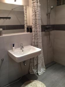a bathroom with a sink and a shower at Apartmán Slovinská 28 in Brno
