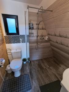 a bathroom with a toilet and a shower at Carpatina A-Frame Retreat - Rustic Cabins for Couples in Runcu +70 photos