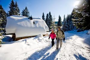 Ein Mann und eine Frau gehen im Schnee in der Unterkunft Biohof Seidl in Bad Kleinkirchheim