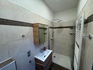 a bathroom with a shower and a sink and a toilet at Steigerstube in Clausthal-Zellerfeld +30 photos