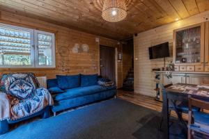 a living room with a blue couch and a tv at Dream Forest Cabin -dom w lesie pod Warszawą in Warsaw