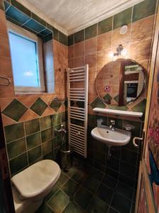 a bathroom with a toilet and a sink and a mirror at HerbStone Lodges in Asprangeloi