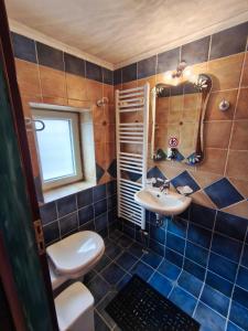 a bathroom with a toilet and a sink at HerbStone Lodges in Asprangeloi