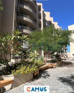 a building with benches and trees in front of it at CAMUS 354, Princess Resort in Hurghada