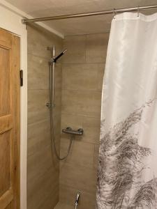 a shower with a shower curtain in a bathroom at Værelse med eget køkken og bad in Esbjerg