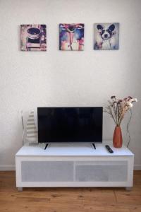 a flat screen tv sitting on top of a white entertainment center at Central & Tranquil by Cathedral in Fribourg