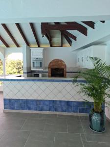 a kitchen with a counter with a plant in the middle at Le Chalet d'Ajoupa in LʼAjoupa-Bouillon