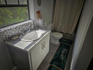 a bathroom with a sink and a toilet and a window at Kaye Jacquot in Monchy
