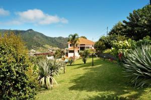 a yard with palm trees and a house at traveller's house PROMO 25 in Machico