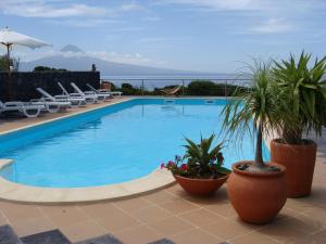 une piscine avec des chaises et des plantes sur une terrasse dans l'établissement Cantinho das Buganvilias AT****, à Queimada