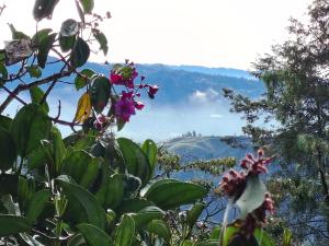 a view of a mountain with flowers and trees at Refugio en las Nubes in Santa Elena