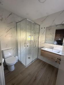 a bathroom with a shower and a toilet and a sink at Hostal Casa Amalia in Teruel