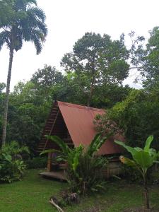 a small house with a red roof in the forest at Cabaña Bugambilla in Macas