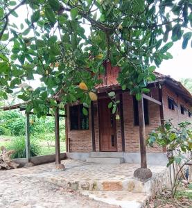 a building with two trees in front of it at Alam Kita in Karimunjawa