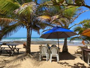 a beach with chairs and a blue umbrella and palm trees at Villa do Sol Sagi in Baía Formosa