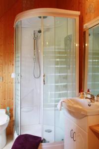La salle de bains est pourvue d'une douche et d'un lavabo. dans l'établissement Gite du courtils, à Courtils