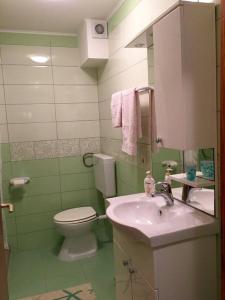 a green bathroom with a toilet and a sink at Apartment Zavalatica 184c in Čara +13 photos