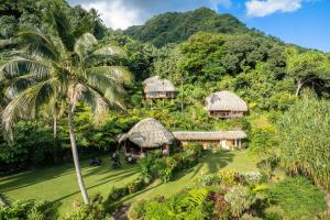 an aerial view of a resort with a palm tree at Vanira Lodge in Teahupoo