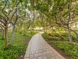 a path through a park with trees and grass at Kaanapali Alii 2 Bedroom Ocean View in Kaanapali