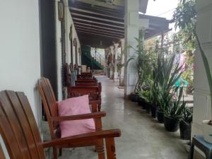 a row of chairs sitting in a hallway with plants at ADOBE AFFECTIOn in Tangalle +19 photos