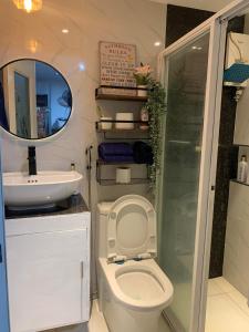 a bathroom with a toilet and a sink and a mirror at Gray Room The White Haven In Clark in Angeles