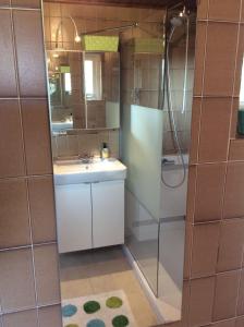 een badkamer met een wastafel en een douche bij Hezebergzicht in Groot-Agelo
