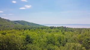 an overhead view of a forest of trees and water at L'Escapade - Spa billard & foyer in Petite-Rivière-Saint-François