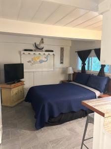a bedroom with a blue bed and a television at Oceana Boutique Hotel in San Clemente +88 photos