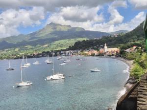 a group of boats in a body of water with a mountain at Ti Sucrier Jaune - Douceur caraïbe vue mer in Le Carbet +9 photos