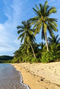 two palm trees on a beach next to the water at San Nicolas Private Beach in Busuanga +35 photos