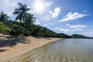 a beach with palm trees and the ocean at San Nicolas Private Beach in Busuanga