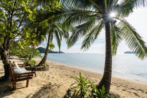 a beach with a palm tree and the ocean at San Nicolas Private Beach in Busuanga