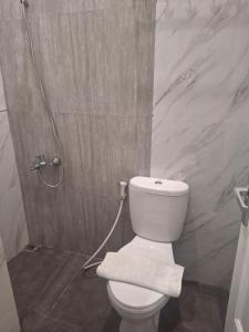 a bathroom with a white toilet and a shower at Omah Pinter in Beran-kidul