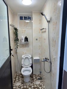 a bathroom with a toilet and a shower at Morden Apt 6Br Old Quater in Hanoi +20 photos