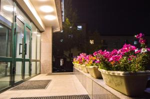 a row of potted plants on the side of a building at Guide Hotel in Ulaanbaatar