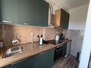 a kitchen with green cabinets and a sink at Apartman Ane in Perušić