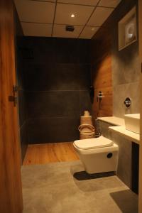 a bathroom with a toilet and a sink at Hotel Barai Palace in Dwarka