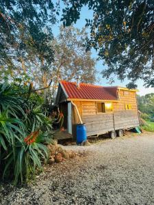 a small wooden cabin with a red roof at Ecologic glamping in Estevais