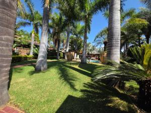 a lawn with palm trees in a yard at Lala Bela Guest House in Bela-Bela