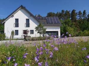 a house with solar panels on top of a field of flowers at Ferienwohnung Seenlandwinkel in Wackersdorf