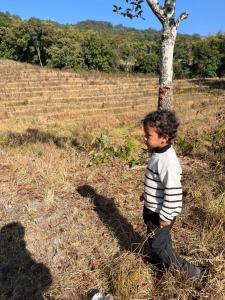 a young boy standing next to a tree at Elves Homestay in Rhenok
