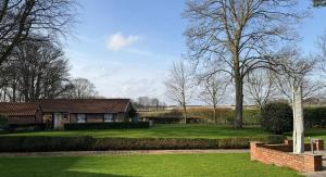 a house with a green yard with a tree at Crossways Beech Tree in Grimsby