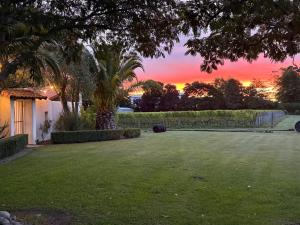 a palm tree in a yard with a sunset in the background at El Grouso in Blenheim