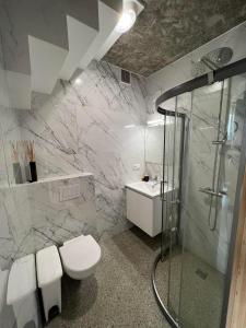 a bathroom with a shower and a toilet and a sink at Antano sodyba in Dauparai +7 photos