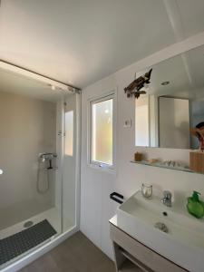 a bathroom with a shower and a sink and a mirror at U paradisu in Lumio +7 photos