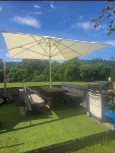 a picnic table with an umbrella on the grass at Gästezimmer Mürztal in Langenwang Schwöbing