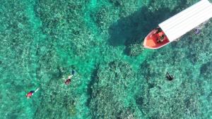 an overhead view of people in a boat in the water at Kubu Pertiwi Pemuteran in Pemuteran +3 photos